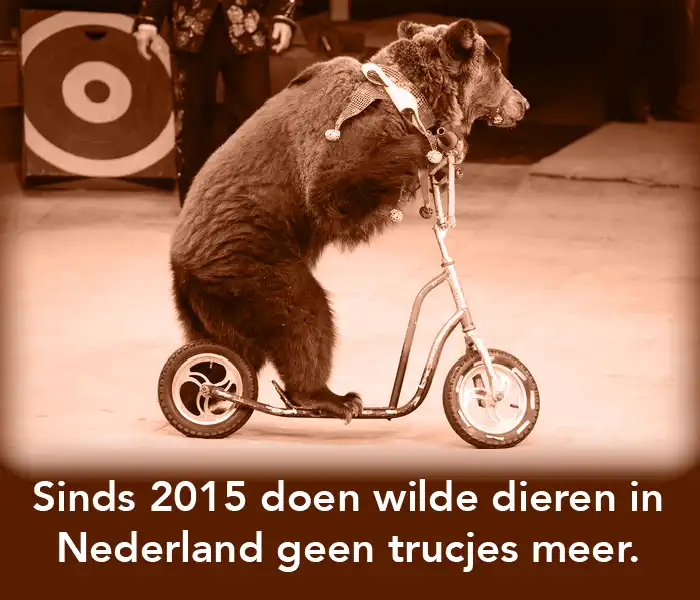 5.-circusdieren2