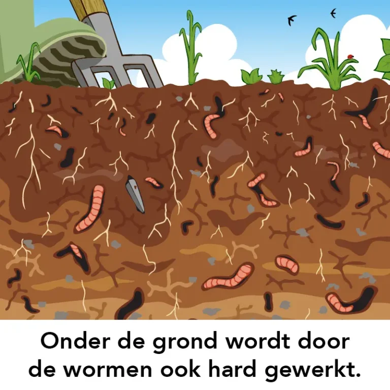 7.-wormen-in-de-bodem