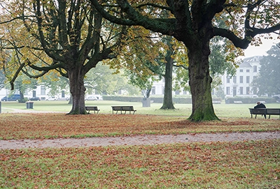 Bron: Gemeente Haarlem