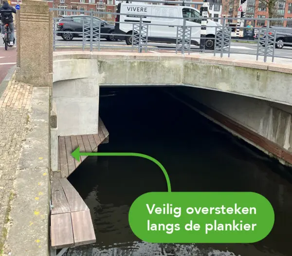 Verborgen oversteekplaatsen voor dieren