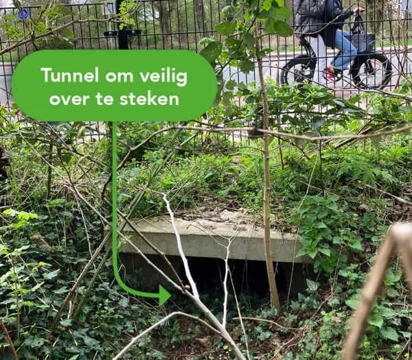 Verborgen oversteekplaatsen voor dieren