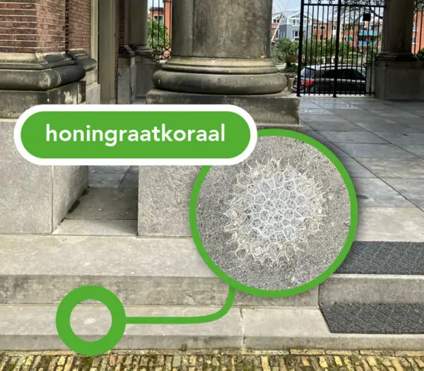 Binnen het hofje op de traptrede