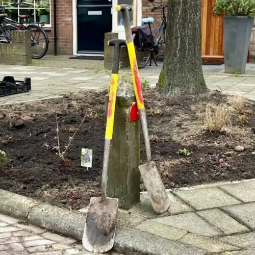 Bron: Gemeente Haarlem