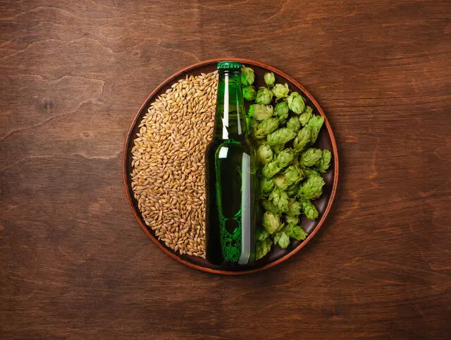 Ingrediënten van bier